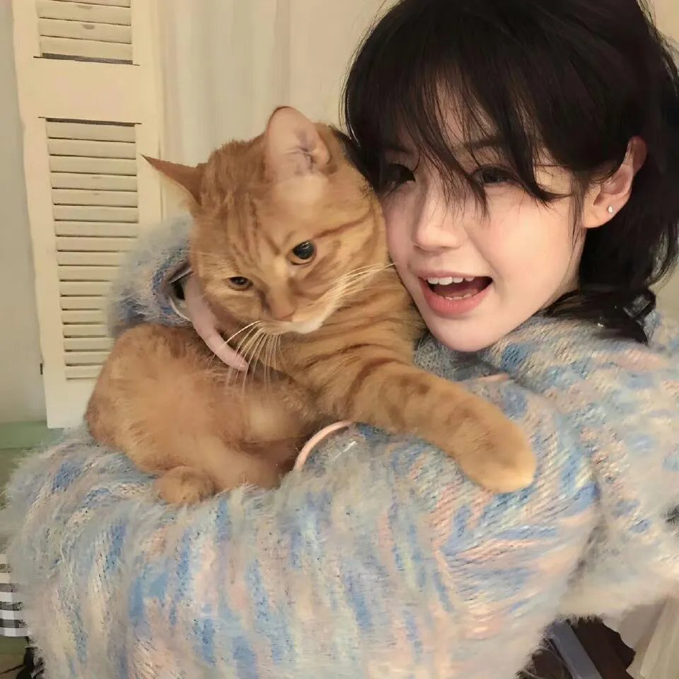 安娜·丽莎