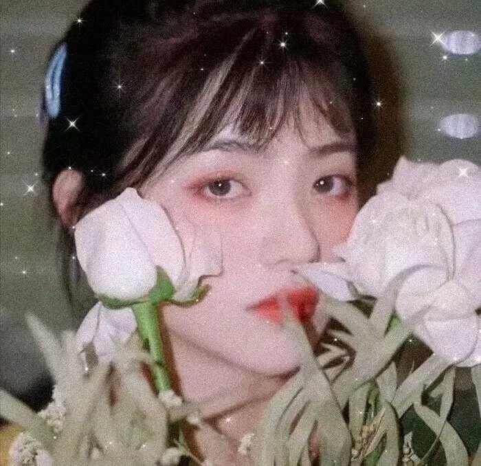 双面追缉